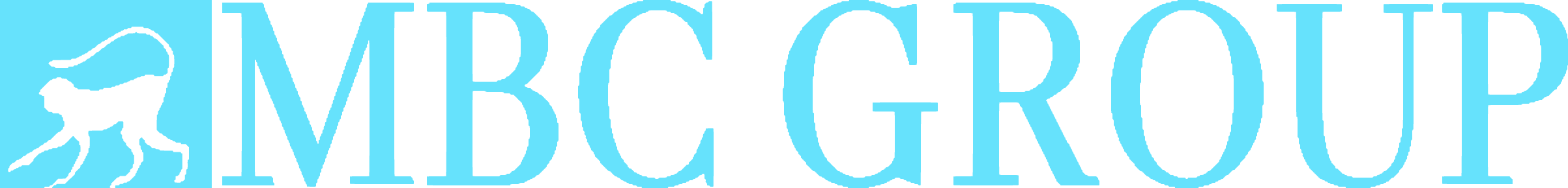 logotype